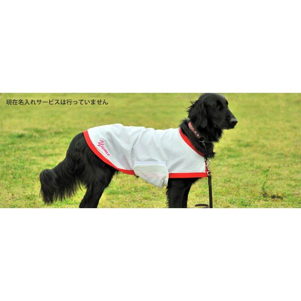 KoolingCoat≪ドッグクールコート≫クーリングコート  犬服 コート [ネコポス] |  | 01