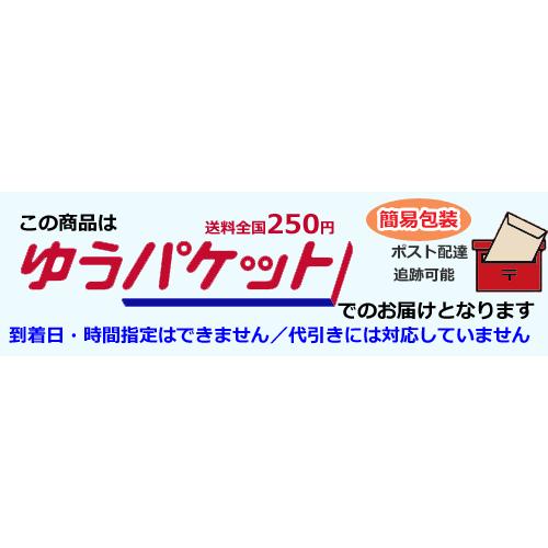 KoolingCoat≪ドッグクールコート≫クーリングコート  犬服 コート [ネコポス] |  | 03