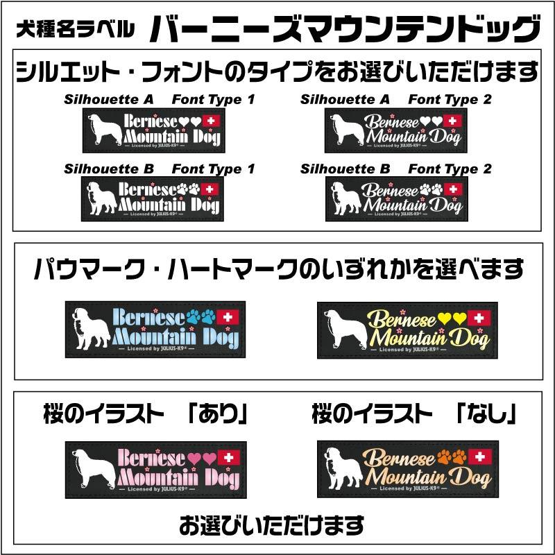 バーニーズマウンテンドッグ オリジナル ラベル【１枚 M・S】【ユリウスK9】 IDCパワーハーネス用オリジナルベルクロラベル ベースカラー：４色  [ネコポス] | JULIUS-K9 | 02