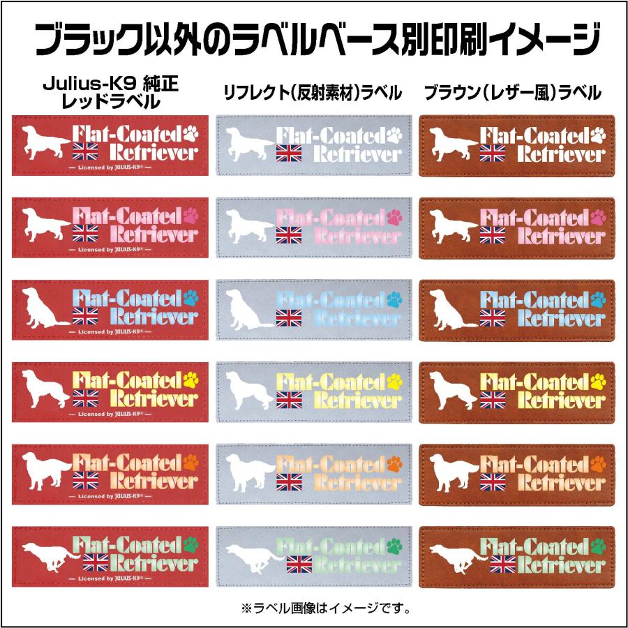 バーニーズマウンテンドッグ オリジナル ラベル【１枚 M・S】【ユリウスK9】 IDCパワーハーネス用オリジナルベルクロラベル ベースカラー：４色  [ネコポス] | JULIUS-K9 | 05