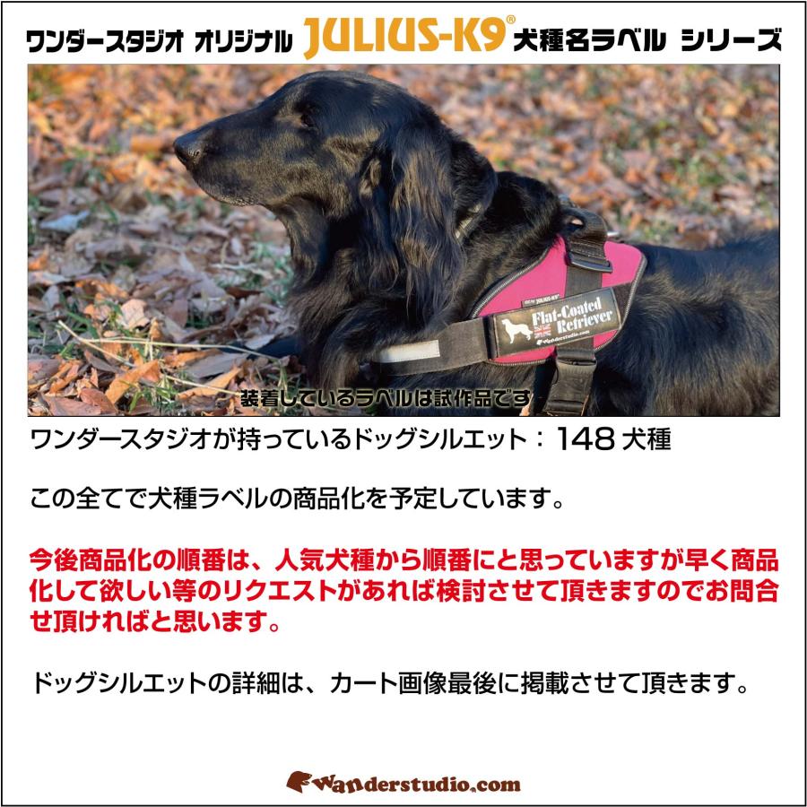 バーニーズマウンテンドッグ オリジナル ラベル【１枚 M・S】【ユリウスK9】 IDCパワーハーネス用オリジナルベルクロラベル ベースカラー：４色  [ネコポス] | JULIUS-K9 | 06