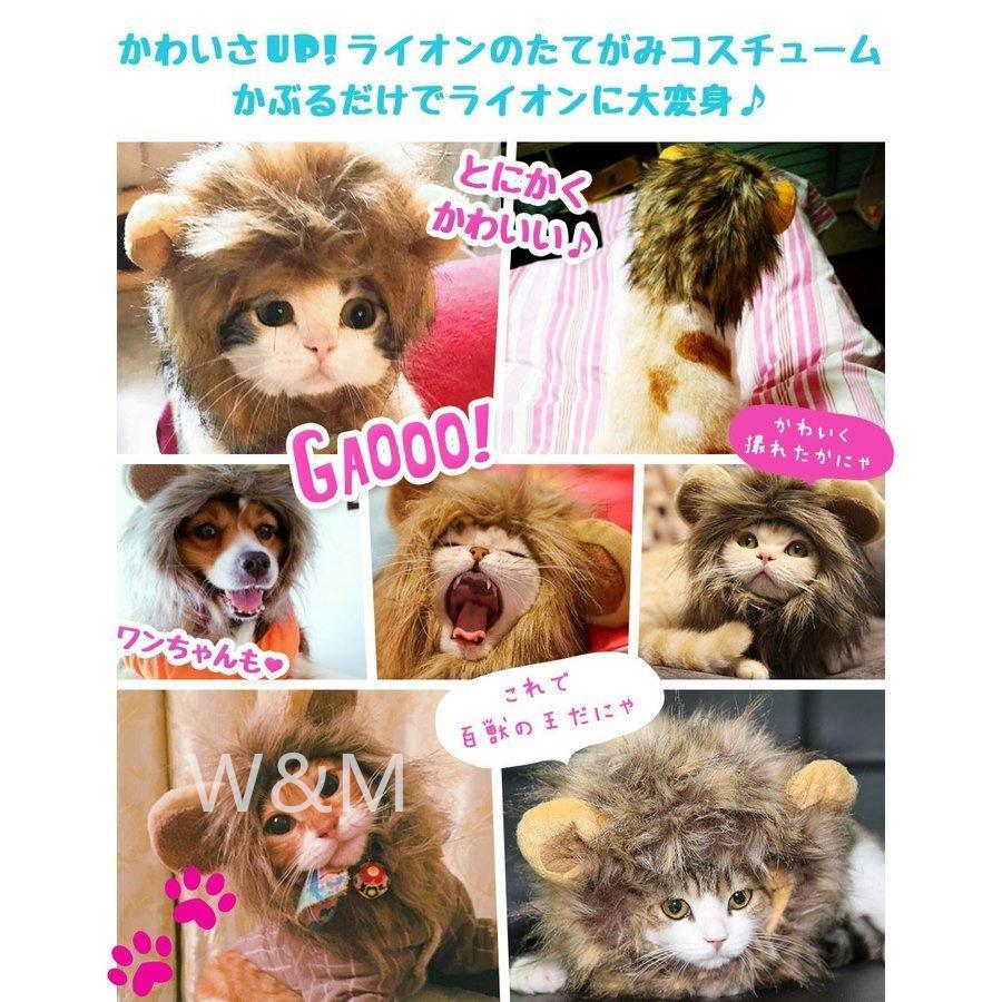 特売 ねこ かぶりもの ライオン たてがみ 帽子 コスプレ 変身 かつら かわいい 猫 小型犬 被り物 ウィッグ ペット グッズ 仮装 ねこちゃん Chompingquarters Com
