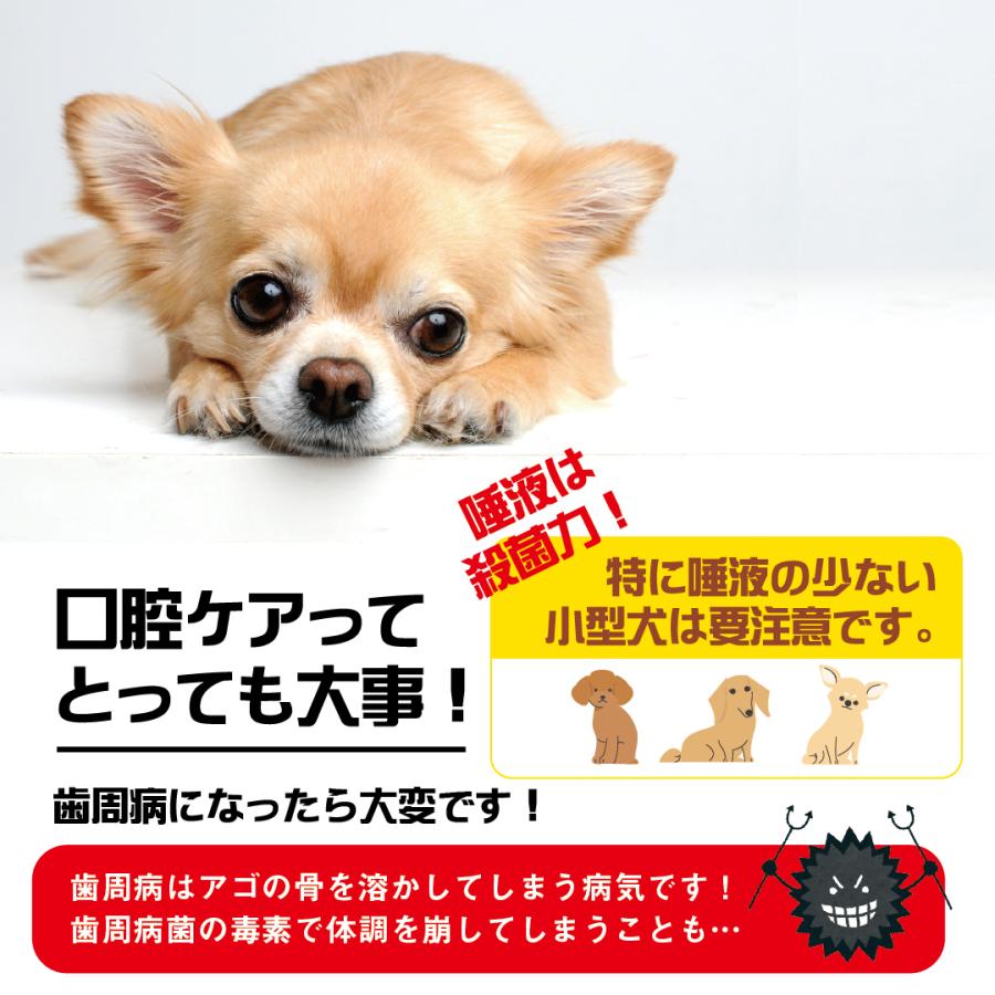 ワンフー wanfoo バイオクロロ(60ml) 100%天然原料 化学薬品不使用 | wanfoo | 02