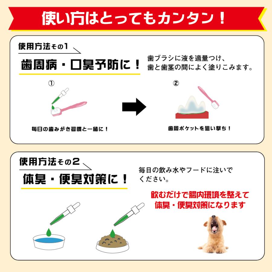 ワンフー wanfoo バイオクロロ(60ml) 100%天然原料 化学薬品不使用 | wanfoo | 05