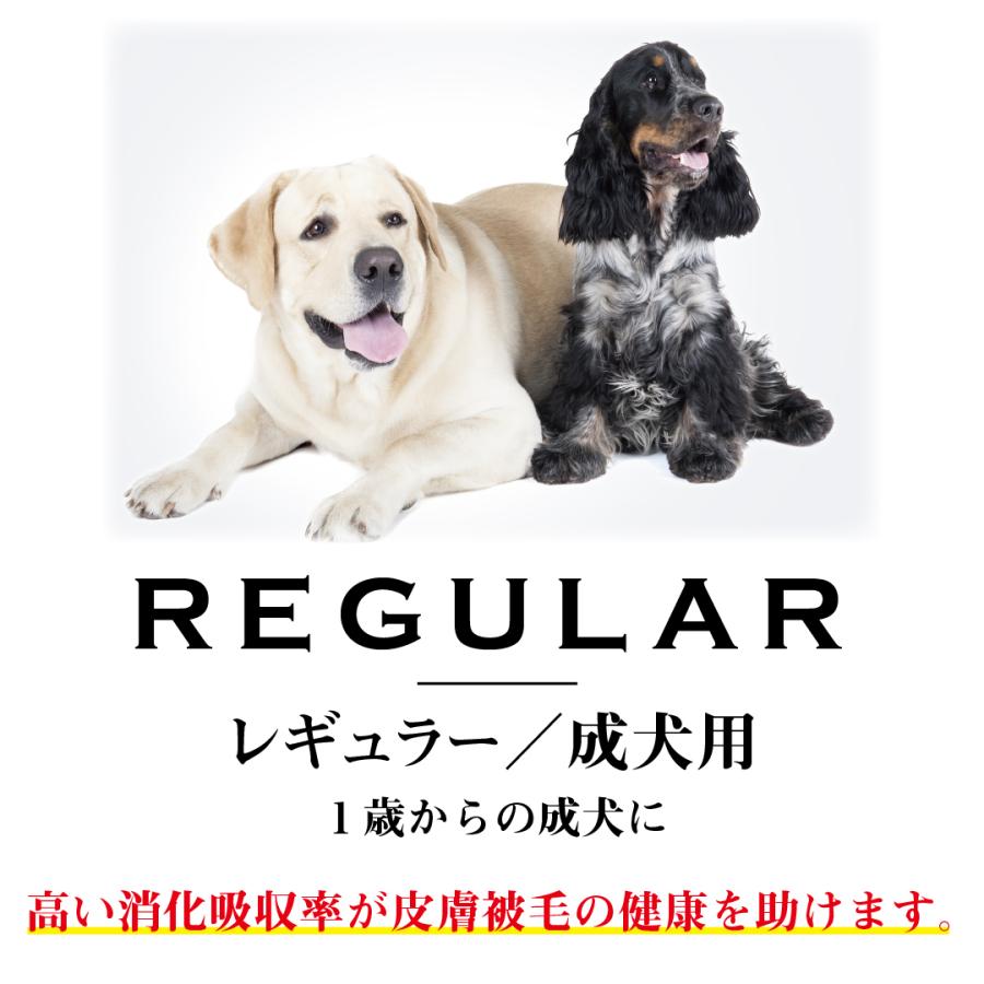 ドッグフード wanfoo プレミアムドッグ (ウサギ肉＆鶏肉タイプ) レギュラー 成犬用 2kg(200g×10袋入り) ワンフー 無添加 国産｜wanfoo-official｜03