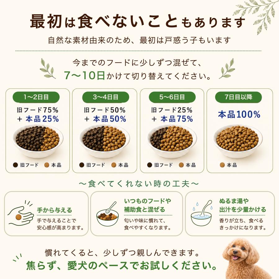 ドッグフード wanfoo プレミアムドッグ (ウサギ肉＆鶏肉タイプ) シニア 高齢犬用 2kg(200g×10袋入り) ワンフー 無添加 国産 | wanfoo | 11