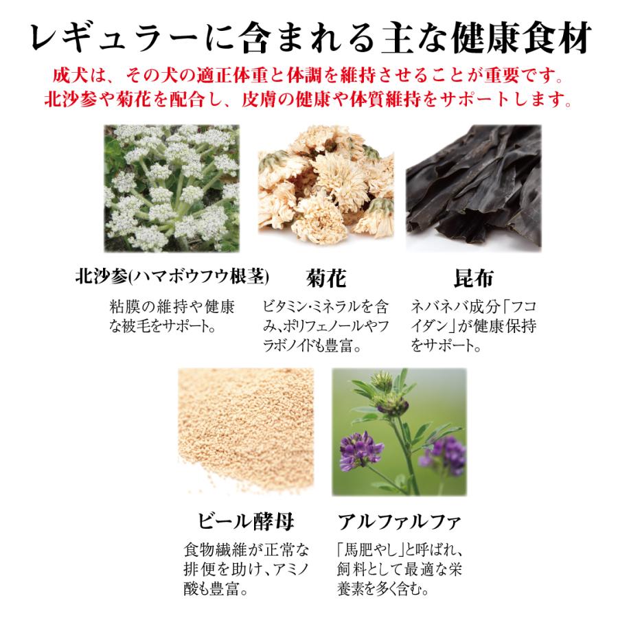ドッグフード wanfoo ラブガド(ウサギ肉タイプ) レギュラー 成犬用 1kg(200g×5袋入り) ワンフー  無添加 国産 | wanfoo | 06