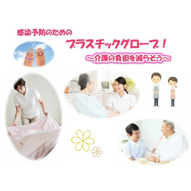 プラスチックグローブ  PVCグローブ パウダー無 Lサイズ VGN-L 1ケース2,000枚（100枚&times;20箱） 使い捨て 手袋 感染予防 左右兼用 AQUSEAR