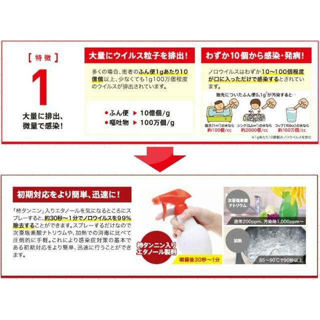 除菌スプレー 詰め替え用 アルコール アルタン ノロエース 2L 柿渋 配合 ウイルス 食中毒 細菌対策 除菌 エタノール製剤｜wangbao｜06