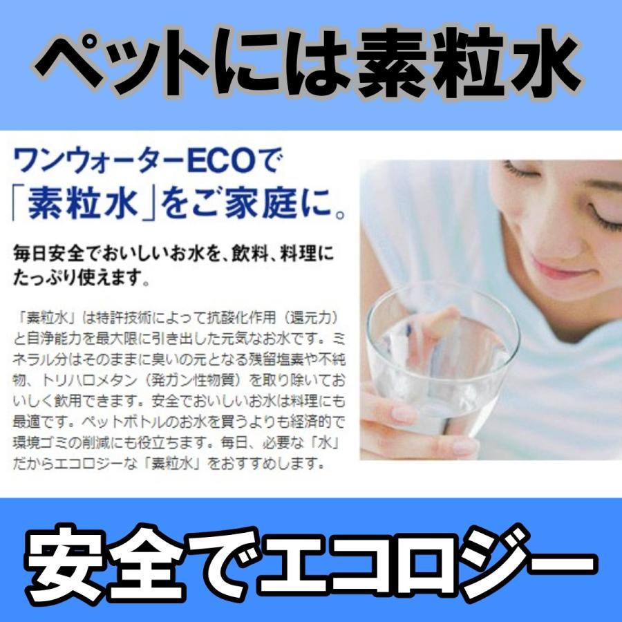 ワンウォーターECO 浄水器 キッチン用 素粒水 醗酵する水 環境改善