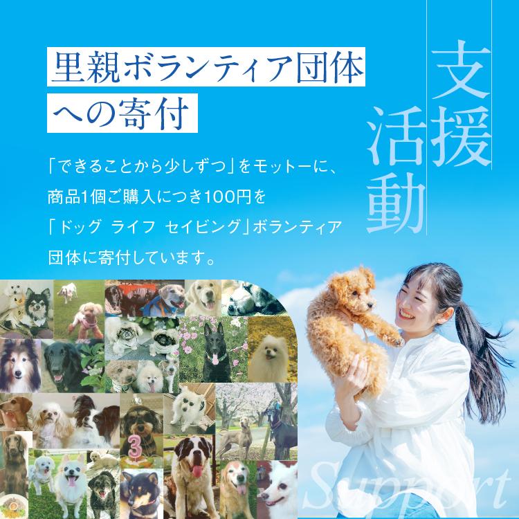 犬猫の歯石口臭対策 歯磨き粉 5000頭以上の犬の歯磨き 歯石除去 歯石取りを行ってきた獣医師が開発  Dr.YUJIRO パーフェクトセット 約3カ月分｜wanko-no-haisha｜19