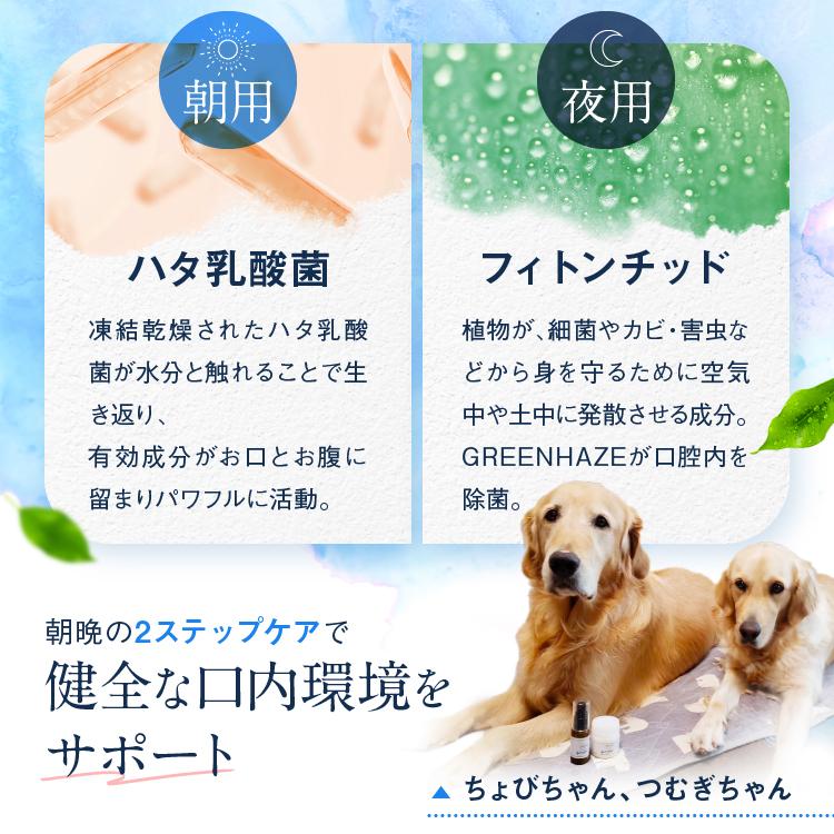 犬猫の歯石口臭対策 歯磨き粉 5000頭以上の犬の歯磨き 歯石除去 歯石取りを行ってきた獣医師が開発  Dr.YUJIRO パーフェクトセット 約3カ月分｜wanko-no-haisha｜08