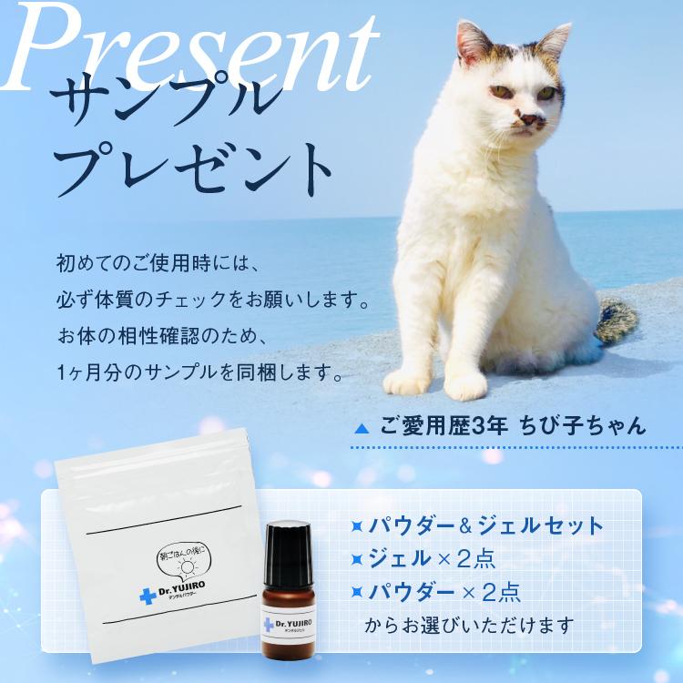 Dr.YUJIRO 犬猫の歯石口臭対策 歯磨き粉 5000頭以上の犬の歯磨き Dr.YUJIRO 犬猫の歯石口臭対策 歯磨き粉 5000頭以上の犬の歯磨き