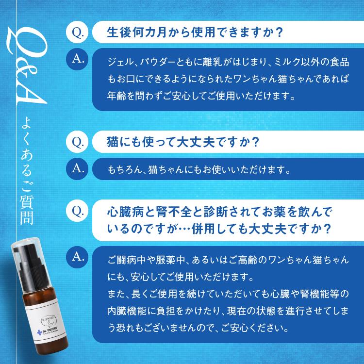 【新品・未開封】KPS ホワイト118 犬・猫用歯磨きパウダー プロ用 100g 新品・未開封】KPS ホワイト118 犬・猫用歯磨きパウダー プロ用 100g