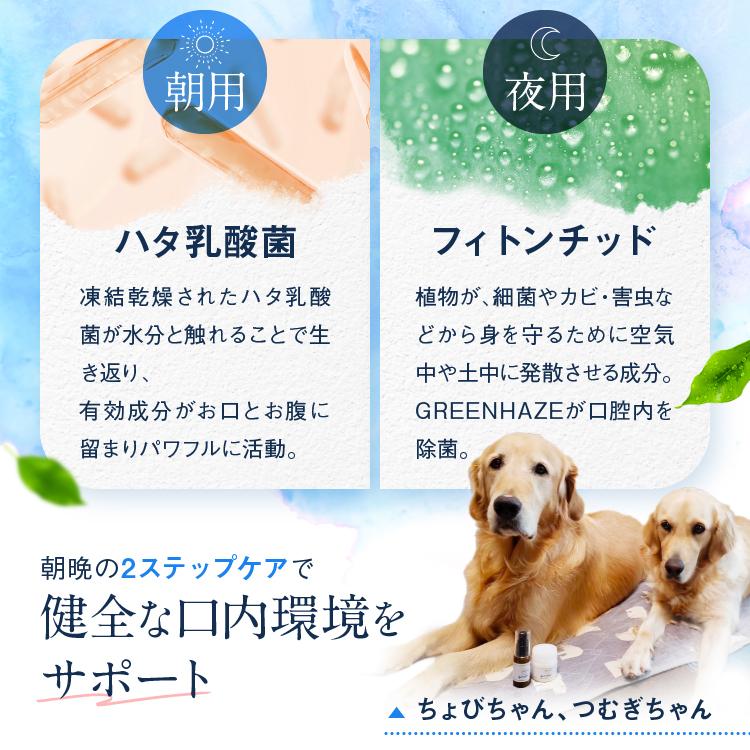 Dr.YUJIRO 犬猫の歯石口臭対策 歯磨き粉 5000頭以上の犬の歯磨き Dr.YUJIRO 犬猫の歯石口臭対策 歯磨き粉 5000頭以上の犬の歯磨き