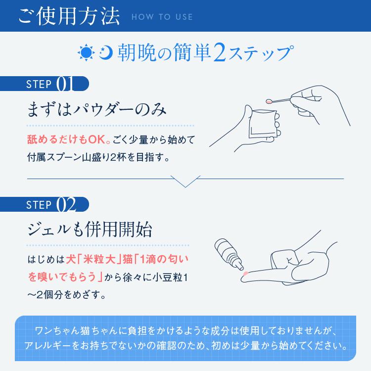 犬猫の歯石口臭対策 歯磨き粉 5000頭以上の犬の歯磨き 歯石除去 歯石取りを行ってきた 獣医師が開発 Dr.YUJIRO パーフェクト3組セット | Dr.YUJIRO | 10
