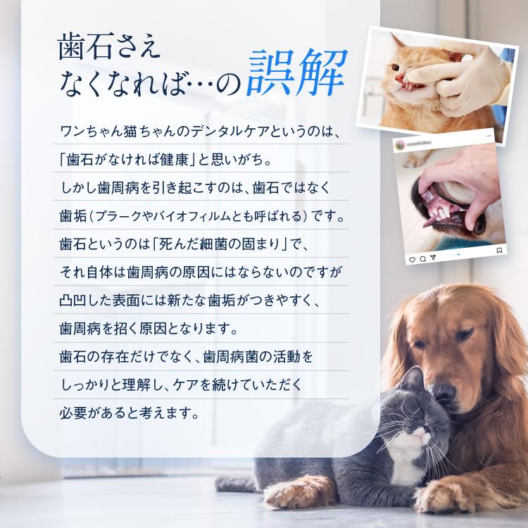 犬猫の歯石口臭対策 歯磨き粉 5000頭以上の犬の歯磨き 歯石除去 歯石取りを行ってきた 獣医師が開発 Dr.YUJIRO パーフェクト3組セット | Dr.YUJIRO | 11