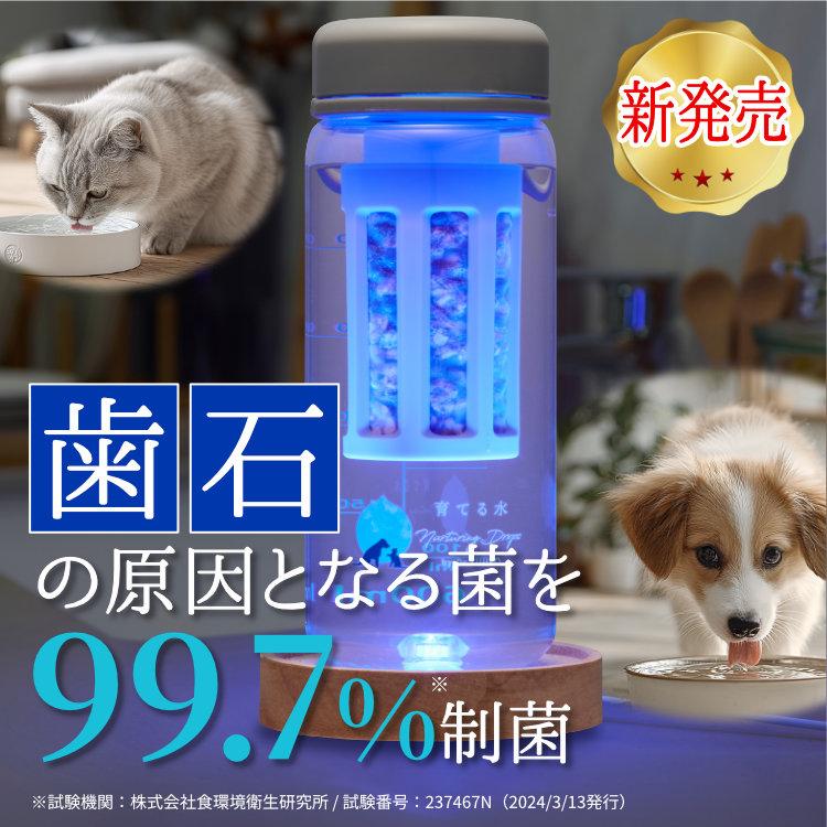 わんこの歯医者さん Dr.YUJIRO 【☆次回再販 12月25日（木）10:00〜予定☆】※事前予約はお