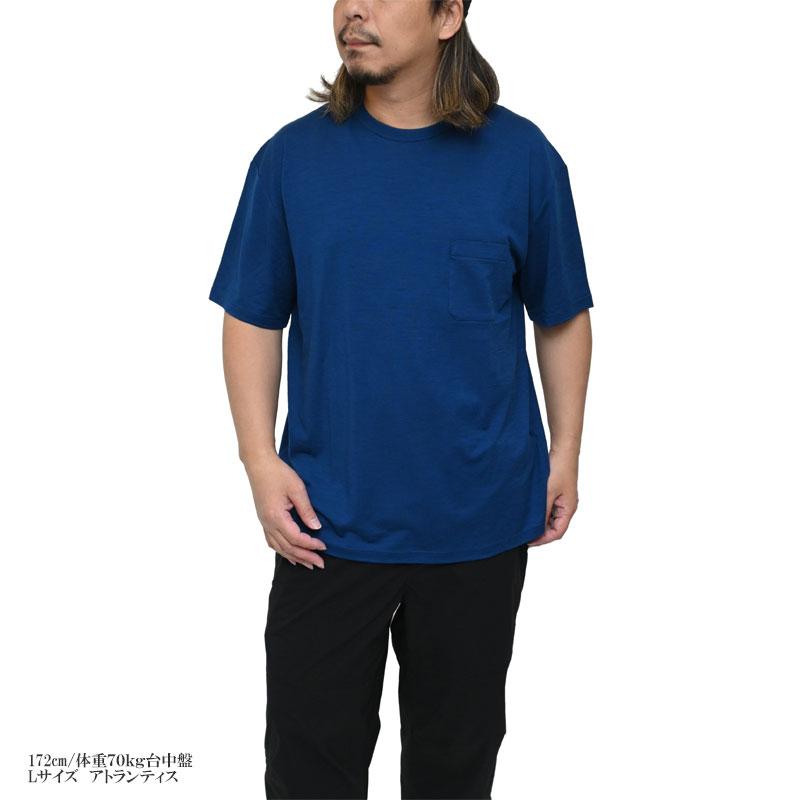 icebreaker（アイスブレーカー） icebreaker Tシャツ 半袖 メンズ
