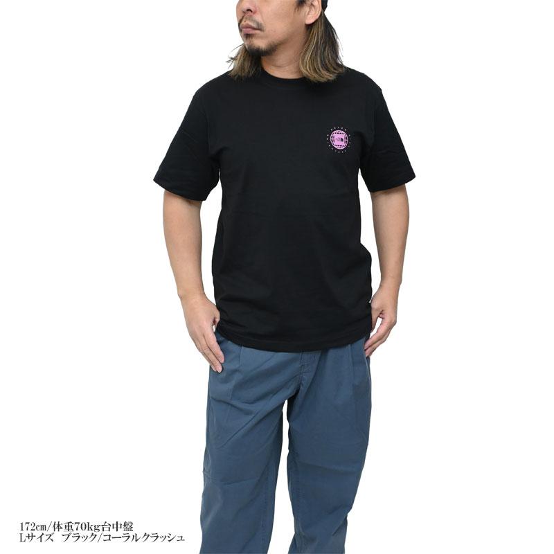 THE NORTH FACE（ザ ノースフェイス） THE NORTH FACE Tシャツ 半袖