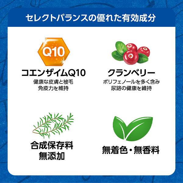 ベッツ・チョイス・ジャパン 【取寄せ】セレクトバランスパピー チキン