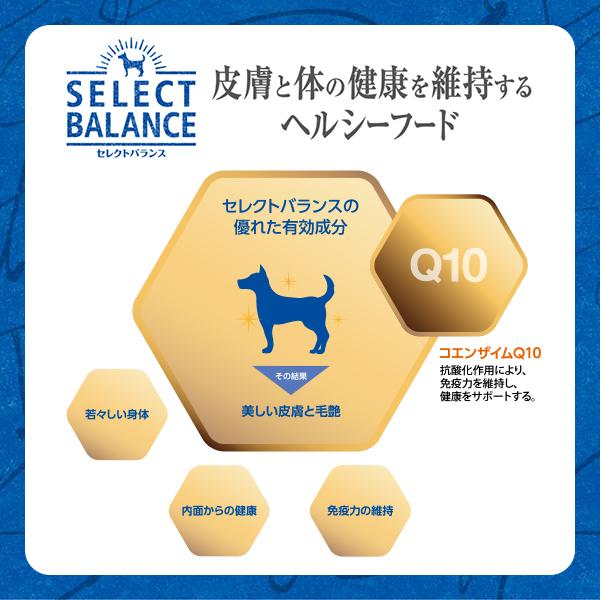 ベッツ・チョイス・ジャパン 【取寄せ】セレクトバランス エイジング