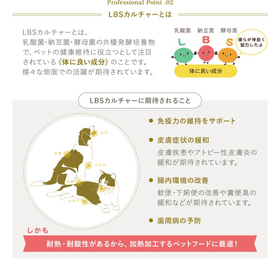 倉 プロフェッショナル バランス 超小粒 7歳から 高齢犬用 2 4kg Elyazma Org