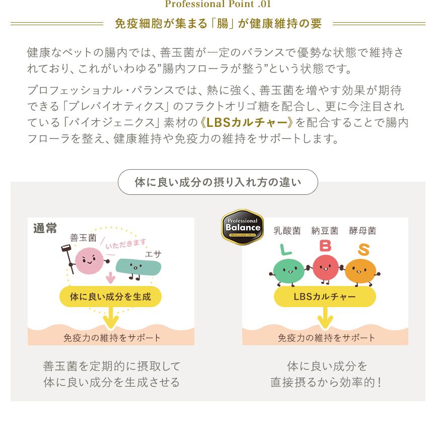 ペットライン 【送料無料】プロフェッショナル・バランス 1歳 ペットライン 【送料無料】プロフェッショナル・バランス 1歳