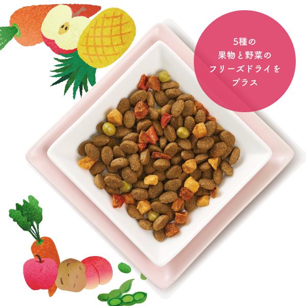 ニュートロ シュプレモ プレミアムブレンド チキン 超小型犬〜小型犬用