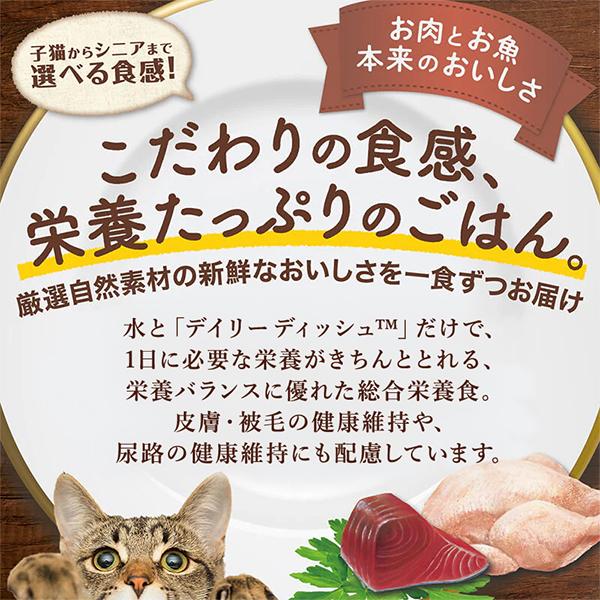 ニュートロ キャット デイリーディッシュ シニア猫用 チキン