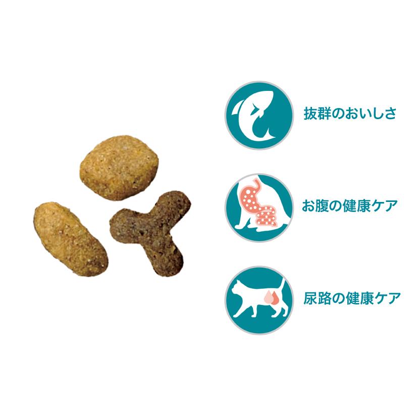 PURINA ピュリナワン キャット 美味を求める成猫用 1歳以上 サーモン
