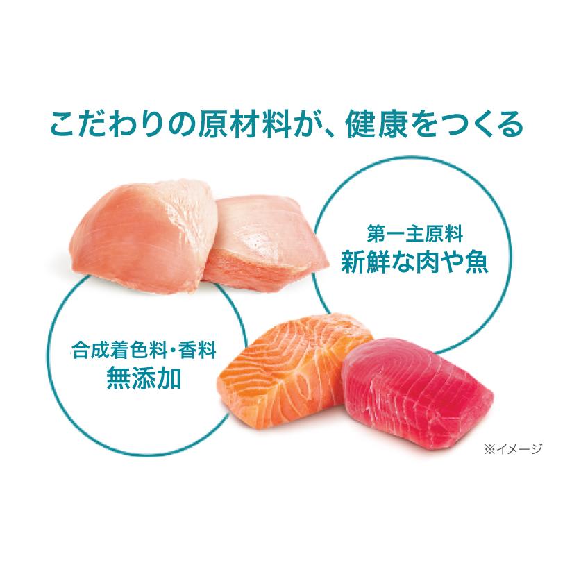 PURINA ピュリナワン キャット 美味を求める成猫用 1歳以上 サーモン