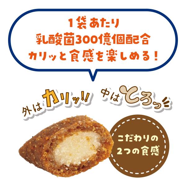 いなばペットフード チャオ ちゅ〜る乳酸菌クランキー チキン味 22g×5