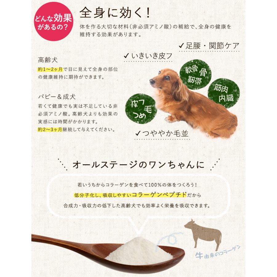 あしたも走ろっ 160g ペットの専門店コジマ 通販 Yahoo ショッピング