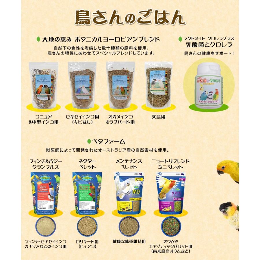 コジマ 大地の恵み ボタニカルヨーロピアンブレンドコニュア＆中型 