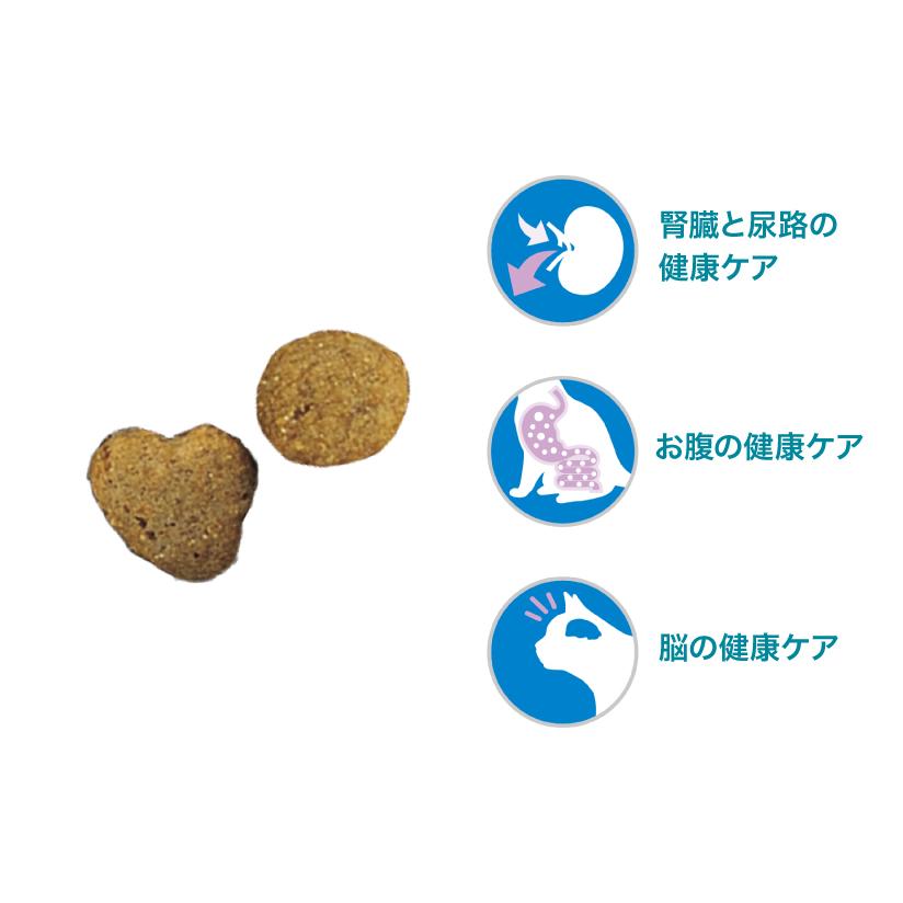 PURINA 【セット販売】ピュリナワン キャット 健康マルチケア 11歳以上