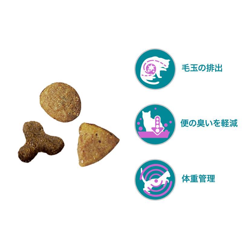 PURINA 【セット販売】ピュリナワン キャット 室内飼い猫用 インドア