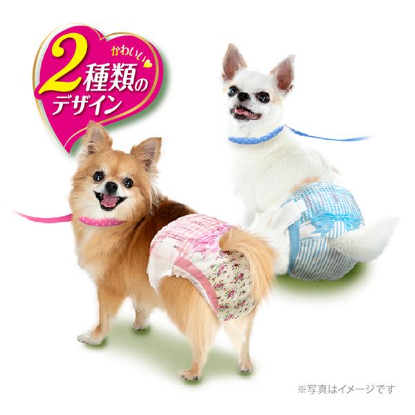 【ケース販売】マナーウェア 女の子用 超小型犬用 SSSサイズ モダンチドリ・クラシカルブーケ 42枚×8コ