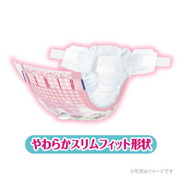 【ケース販売】マナーウェア 女の子用 超小型犬用 SSSサイズ モダンチドリ・クラシカルブーケ 42枚×8コ