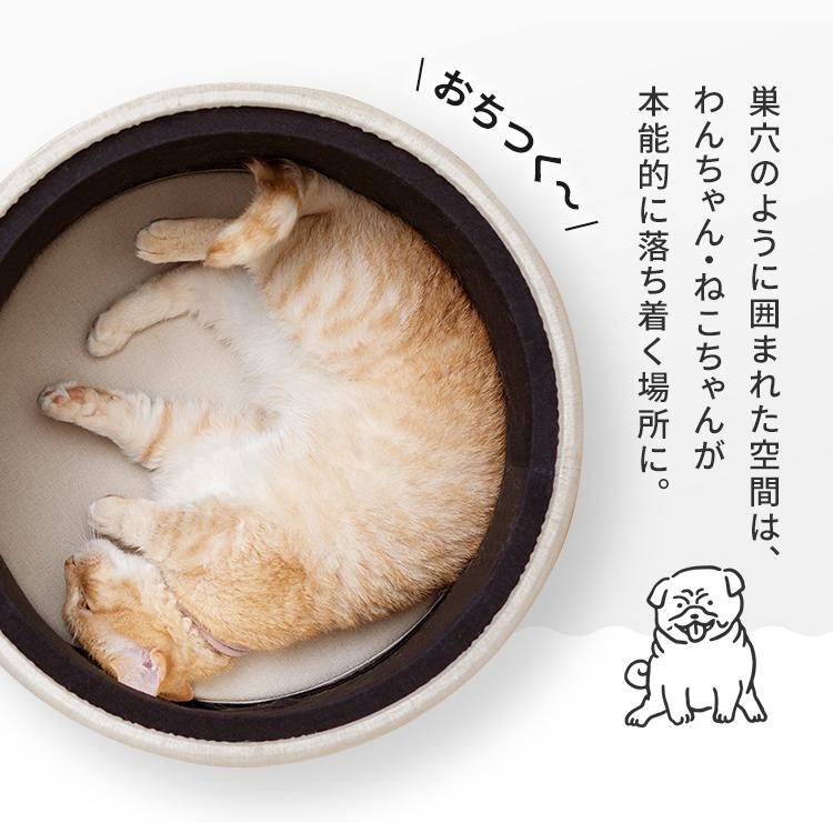 犬 猫 ベッド ハウス ペットベッド プライウッドペットハウス 猫家具 PW-PH44 ナチュラル アイリスオーヤマ|wannyan|06