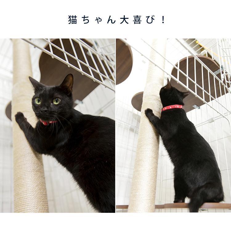 IRIS OHYAMA（アイリスオーヤマ） 猫 爪とぎ つめとぎ キャットランド