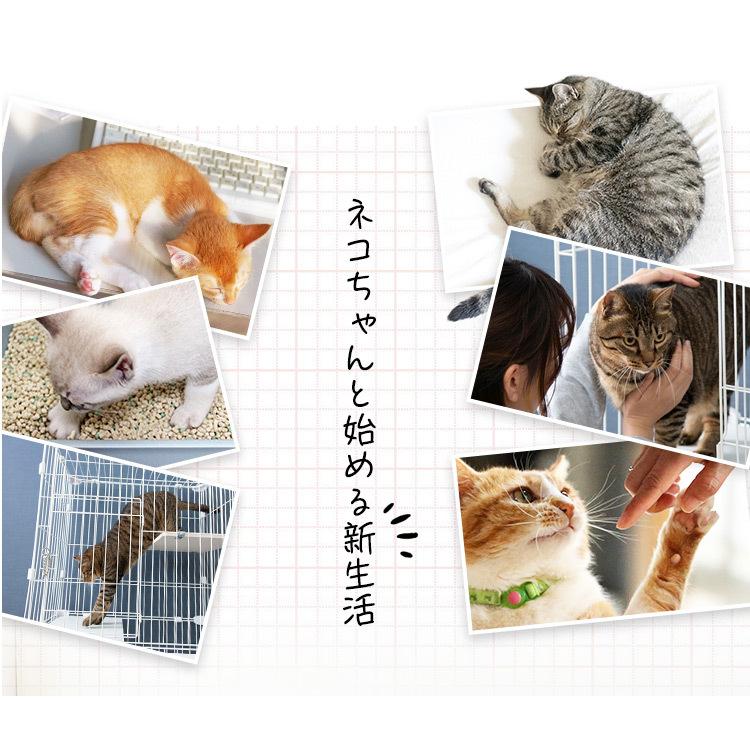 IRIS OHYAMA 猫 ケージ キャットスターターセット PCS-752 IRIS OHYAMA 猫 ケージ キャットスターターセット PCS-752