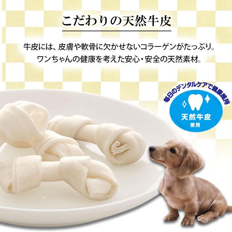 IRIS OHYAMA（アイリスオーヤマ） 犬 おやつ ガム 犬 犬用