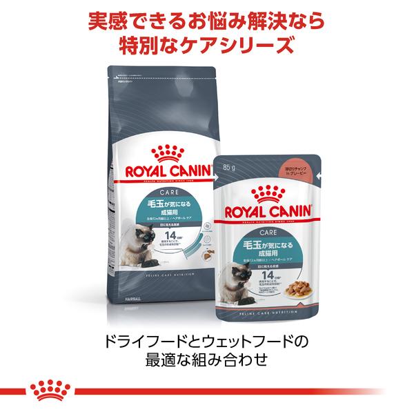 ロイヤルカナン（ROYAL CANIN） 猫 WET ヘアーボール 85g×48個セット