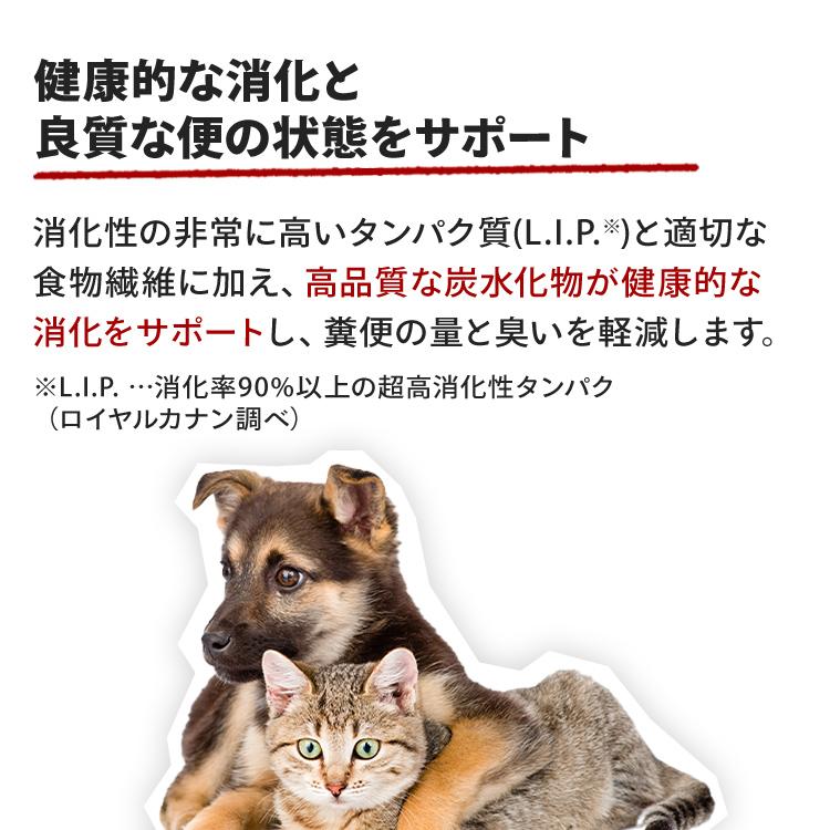 ロイヤルカナン（ROYAL CANIN） ミニ インドア シニア 3.5kg 室内で