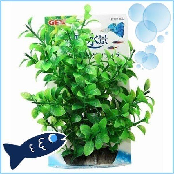 アクア 癒し水景 たっぷりハイグロフィラ ジェックス | GEX