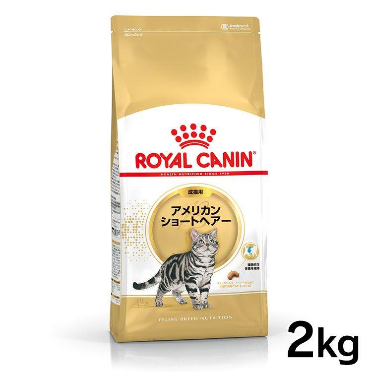 ロイヤルカナン（ROYAL CANIN） 猫 アメリカンショートヘアー 成猫用