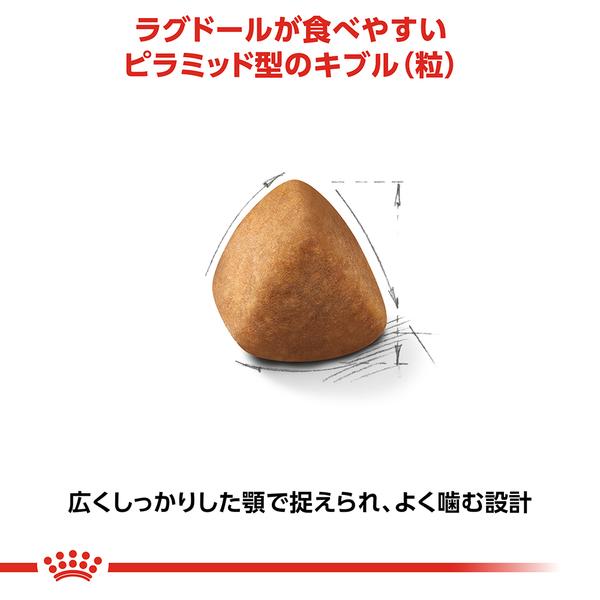 ロイヤルカナン（ROYAL CANIN） 猫 ラグドール 成猫用 2kg 正規品 猫用