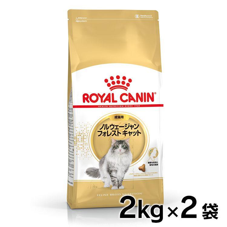  CANIN ノルウェージャンフォレストキャット 2kg×2 ロイヤルカナン（ROYAL CANIN） 猫 ノルウェージャンフォレスト
