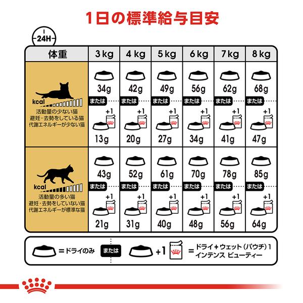 ロイヤルカナン（ROYAL CANIN） 猫 ラグドール 成猫用 2kg×2個セット